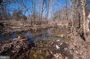 1778 T-Bird Dr, Front Royal, VA 22630 - Photo 15