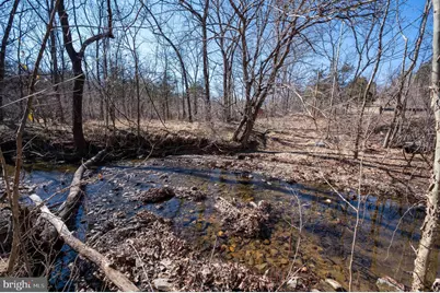 1778 T Bird Drive, Front Royal, VA 22630 - Photo 13