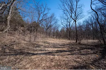 1778 T Bird Drive, Front Royal, VA 22630 - Photo 17