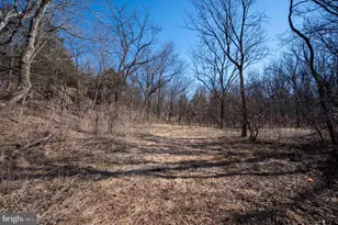 1778 T-Bird Dr, Front Royal, VA 22630 - Photo 17