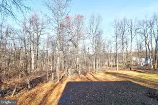 745 Fire Trail Rd, Linden, VA 22642 - Photo 57