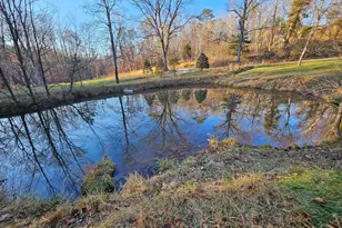 1152 Blue Mountain Rd, Front Royal, VA 22630 - Photo 97