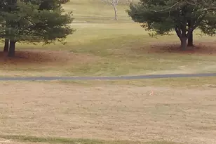 388 Bowling Green Rd, Front Royal, VA 22630 - Photo 77