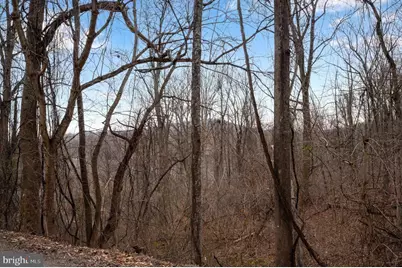Lot 22 Hickory Tree Road, Front Royal, VA 22630 - Photo 47