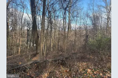 Lot 22 Hickory Tree Road, Front Royal, VA 22630 - Photo 41