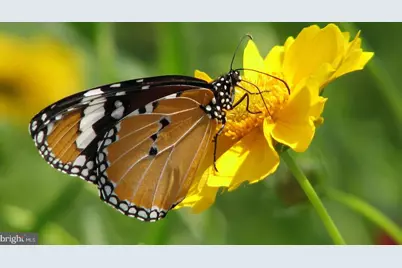 1767 Drummer Hill Road, Front Royal, VA 22630 - Photo 27