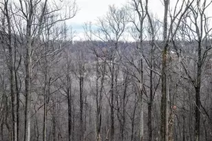 928 High Top Rd, Linden, VA 22642 - Photo 41