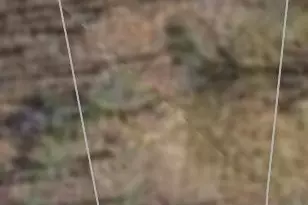 Arrowhead Rd, Front Royal, VA 22630 - Photo 1