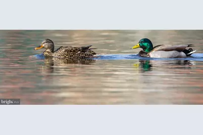 1200 Old Oak Lane, Front Royal, VA 22630 - Photo 37