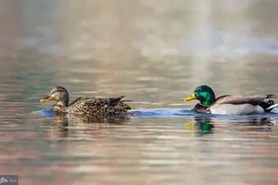 1200 Old Oak Ln, Front Royal, VA 22630 - Photo 37