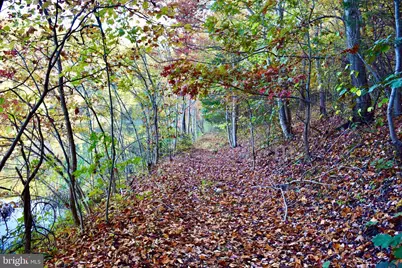 1200 Old Oak Lane, Front Royal, VA 22630 - Photo 43