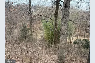 521 Northern Spy Drive, Linden, VA 22642 - Photo 37