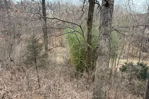 521 Northern Spy Dr, Linden, VA 22642 - Photo 37