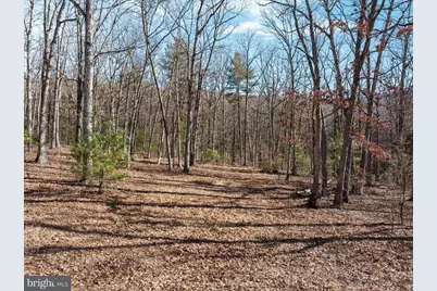 Catron Ridge Road, Bentonville, VA 22610 - Photo 5