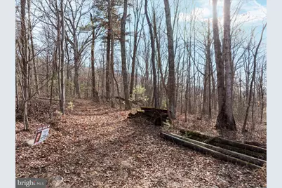 Catron Ridge Road, Bentonville, VA 22610 - Photo 11