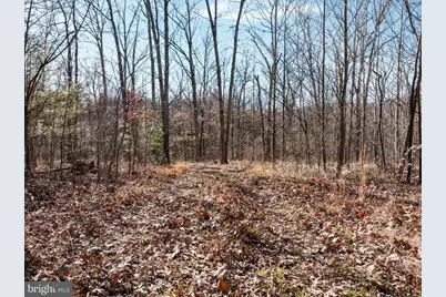 Catron Ridge Road, Bentonville, VA 22610 - Photo 3