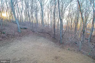 47 Freeze Rd, Linden, VA 22642 - Photo 17