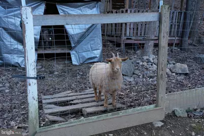 948 Dismal Hollow Road, Front Royal, VA 22630 - Photo 35