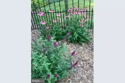 422 Milldale Valley Drive, Front Royal, VA 22630 - Photo 13