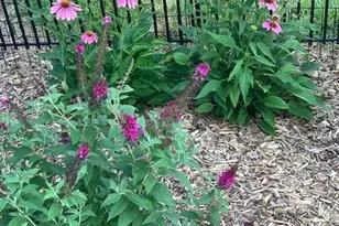 422 Milldale Valley Dr, Front Royal, VA 22630 - Photo 13