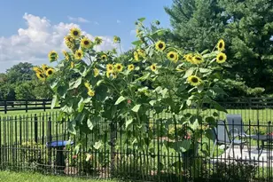 422 Milldale Valley Dr, Front Royal, VA 22630 - Photo 69