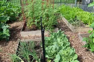 422 Milldale Valley Dr, Front Royal, VA 22630 - Photo 67