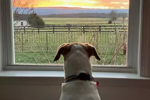 422 Milldale Valley Dr, Front Royal, VA 22630 - Photo 61