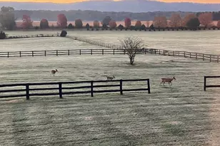 422 Milldale Valley Dr, Front Royal, VA 22630 - Photo 75