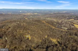 381 Windy Way, Front Royal, VA 22630 - Photo 77