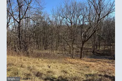 326 Thunderbird Road, Bentonville, VA 22610 - Photo 29