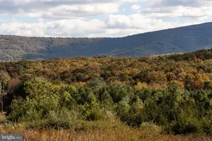 461 Thunderbird Rd, Bentonville, VA 22610 - Photo 9