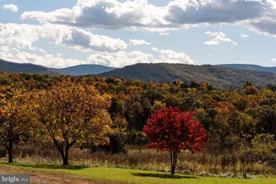 461 Thunderbird Road, Bentonville, VA 22610 - Photo 13
