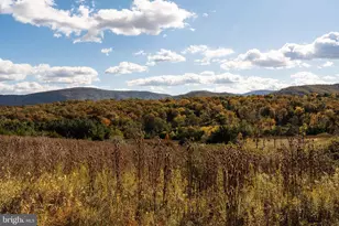 461 Thunderbird Rd, Bentonville, VA 22610 - Photo 3