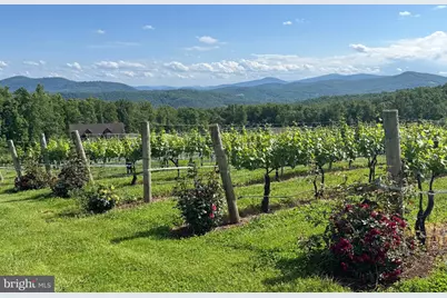 362 Drummer Hill Road, Front Royal, VA 22630 - Photo 45