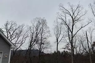 41 Aluna Dr, Front Royal, VA 22630 - Photo 23