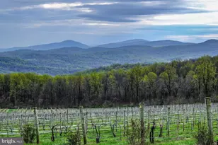 Lot 13-A Strasburg Rd, Front Royal, VA 22630 - Photo 49