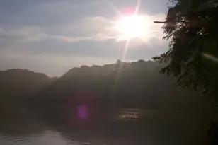 11 Driver Square, Front Royal, VA 22630 - Photo 63