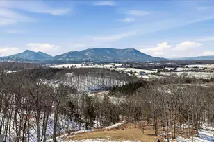 690 Comforter Ln, Middletown, VA 22645 - Photo 119