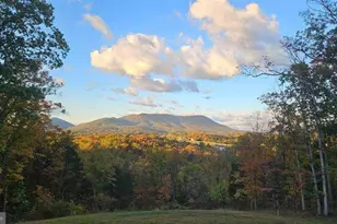 690 Comforter Ln, Middletown, VA 22645 - Photo 135