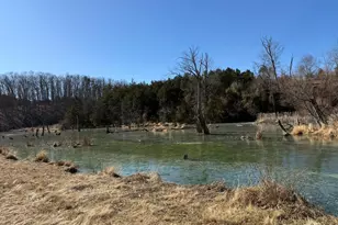 690 Comforter Ln, Middletown, VA 22645 - Photo 109