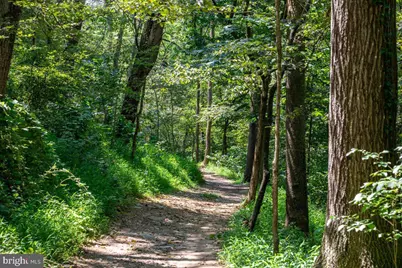 79 Bentonville Road, Bentonville, VA 22610 - Photo 43