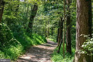 79 Bentonville Rd, Bentonville, VA 22610 - Photo 43