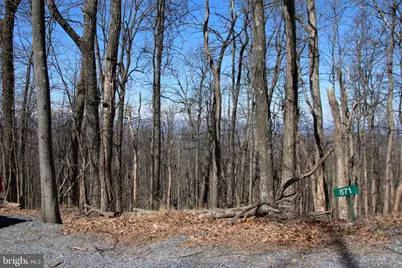 Windy Way, Front Royal, VA 22630 - Photo 5