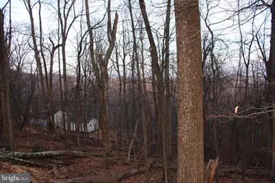 Windy Way, Front Royal, VA 22630 - Photo 3
