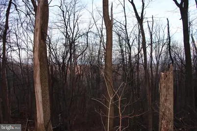 Windy Way, Front Royal, VA 22630 - Photo 7