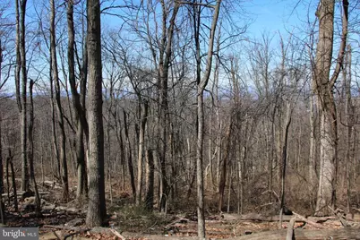Windy Way, Front Royal, VA 22630 - Photo 1