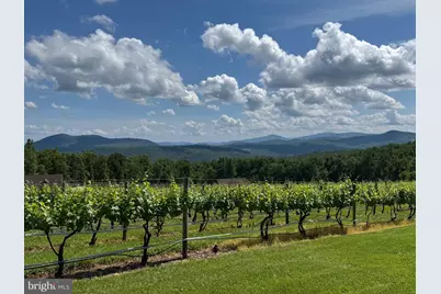 215 Buck Road, Linden, VA 22642 - Photo 43