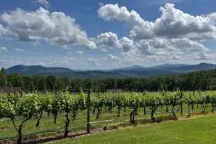 215 Buck Rd, Linden, VA 22642 - Photo 43