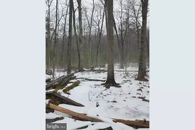 0 Dogwood Lane, Bentonville, VA 22610 - Photo 3