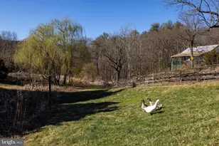 903 Rocky Hollow Rd, Bentonville, VA 22610 - Photo 67